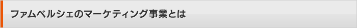 ファムベルシェのマーケティング事業とは