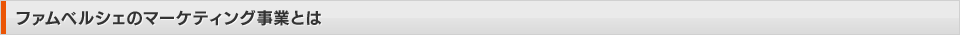 ファムベルシェのマーケティング事業とは